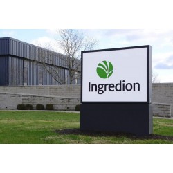 Ingredion abre inscrições para Programa de Estágio 2023